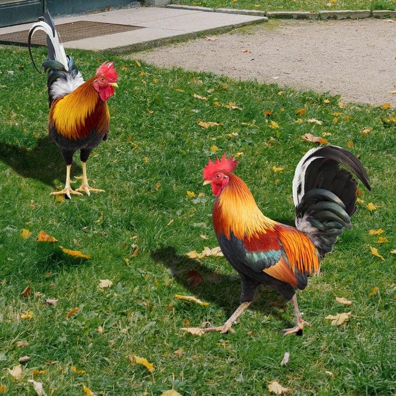 Product Introduction of Courtyard Lawn Backyard Home Decoration Hen Statue Garden Rooster Statue Acrylic Sculpture Outdoor Yard Rooster Decoration 10