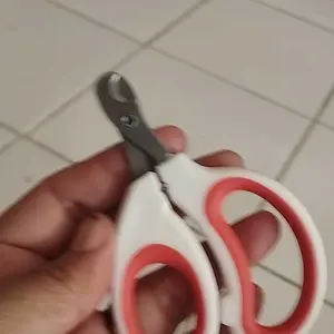 pawpediastore -  [INSTAN] TERMURAH Pet Nail Clipper Dog Cat Small Gunting Kuku Anabul Untuk Kucing Anjing  Gunting Kuku Hewan / Nail Clipper Dog Cat / Gunting Kuku Anjing Kucing / Pet Nail Clipper / Alat Potong Kuku Hewan