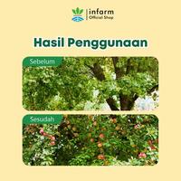 Gambar INFARM - Booster Kelengkeng Pupuk Organik Cair Tanaman Buah Bunga 2L POC Kompos Pupuk Organik Cair POC Kompos Cair Penyubur Tanaman Sayuran, Buah & Bunga Anti Rontok Melebatkan Daun, Menutrisi Media Tanam, Memperbanyak Bunga & Buah, Cocok untuk Semua Buah dari Infarm Kota Surabaya 5 Tokopedia