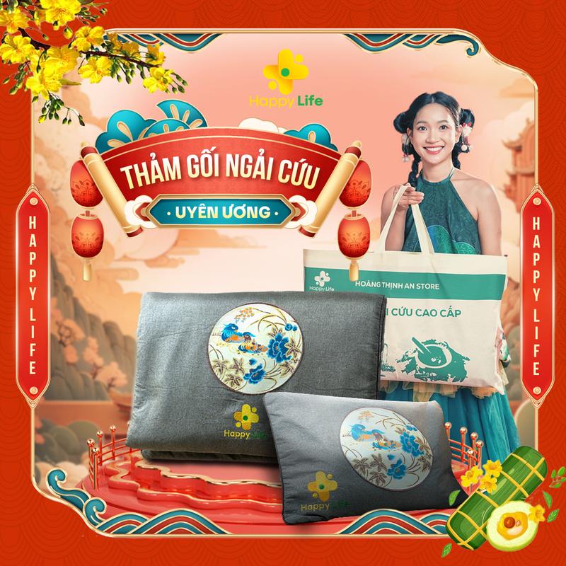  Combo Gối Thảm Ngải Cứu Hoàng Thịnh An Chính Hãng Đệm Ngải Cứu Đông Y Hỗ trợ Đau Vai Gáy Đau Lưng Nhức Mỏi Xương Khớp Bảo Hành 1 Năm 