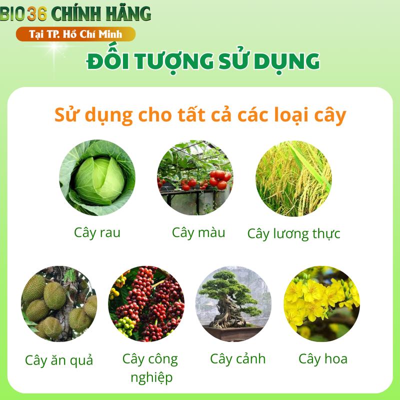 Phân Bón Kích Rễ BIO36 Đâm Rễ Mạnh, Đẩy Đọt Nhanh, Phục Hồi Cây Trồng 4