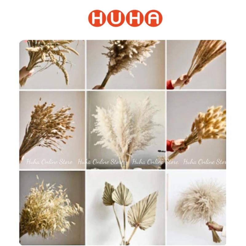 Hoa khô trang trí tone trắng cắm bình decor, chụp ảnh - hoa khô Huha