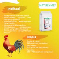Gambar KALBE Natuzyme Mullti-Feed Enzim Pakan Hewan Ternak - 1 Kilogram dari Kalbe Animal Health Kab. Tangerang 4 Tokopedia
