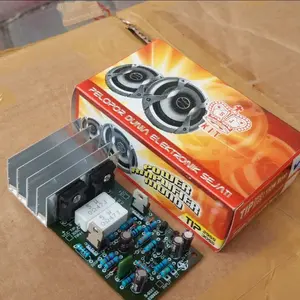 Power 150Watt Mono Plus FINAL 2955/3055 Amplifier