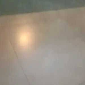 DIMSUM AYAM mini 10 pcs free chili oil dan mayonaise