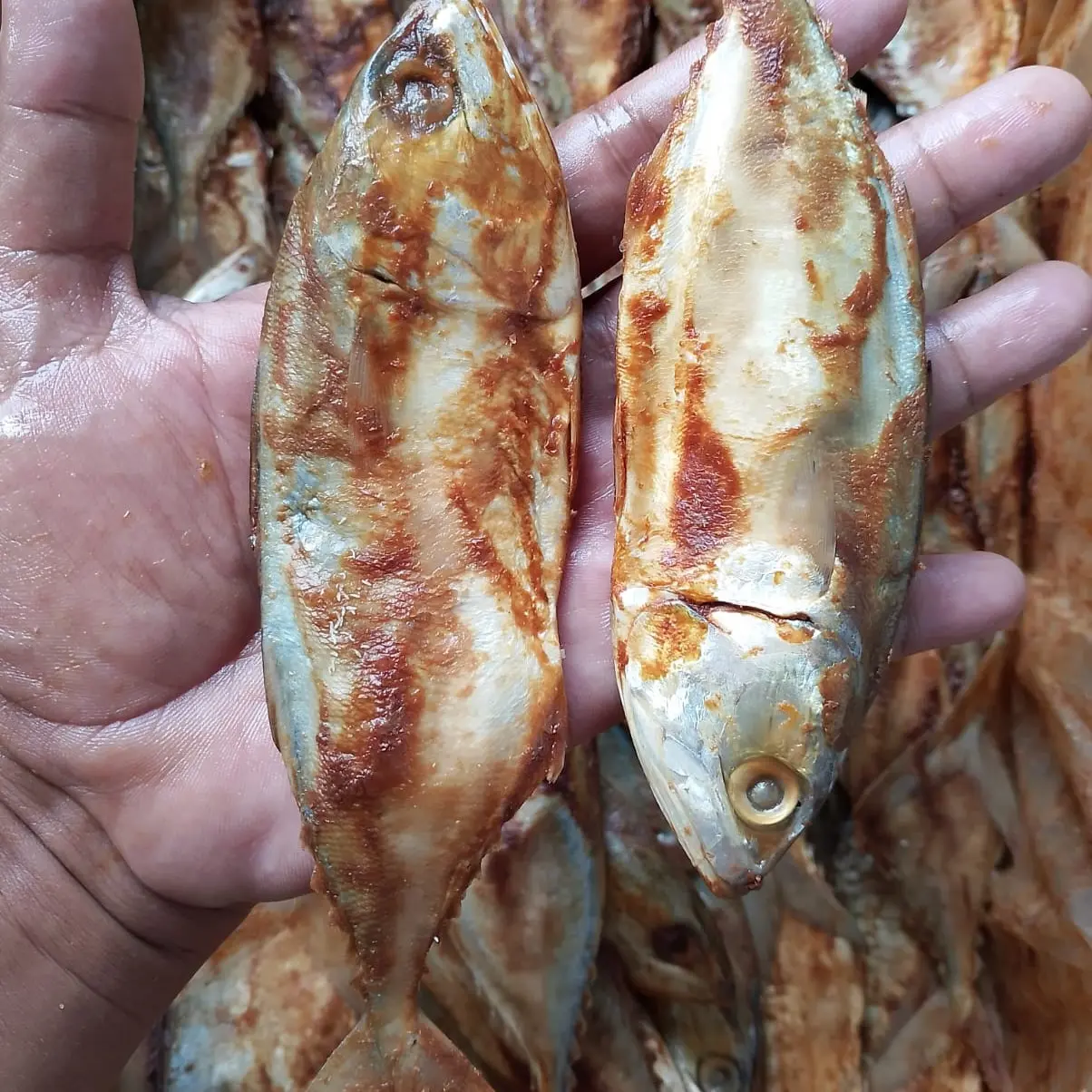 Ikan asin peda merah asli kembung - kembung minyak - Makanan laut