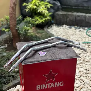 stang AG Style ninja pnp ninja r/ss