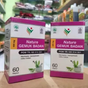 Suplemen penambah nafsu makan nature gemuk badan isi 60 kapsul