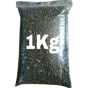 Bibit Benih Kangkung Super Jumbo Kemasan Repack 1KG