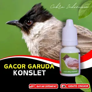 Vitamin Burung Kutilang Gacor