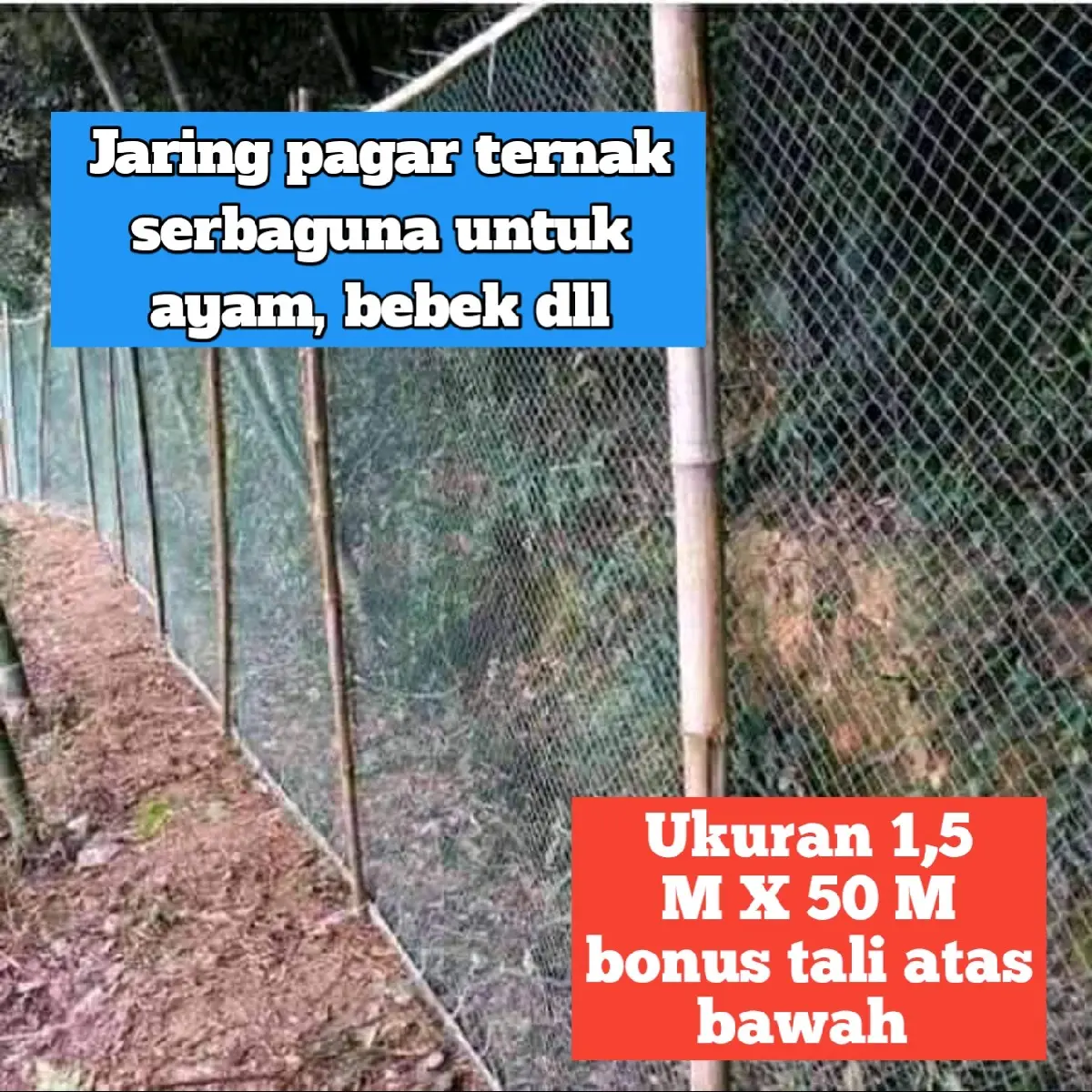 Jaring Pagar Ternak ukuran 1,5 M X 50 M