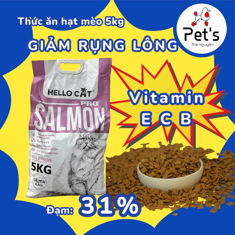 Hello Cat - Hạt Hello Cat Salmon 5kg Thức ăn khô cho mèo vị cá hồi tự nhiên không gây dị ứng cân đối dinh dưỡng phù hợp mọi lứa tuổi kích thước mèo