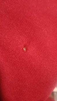 Product Review of Baju anak laki-laki viral labubu X Harry Potter Stelan panjang labubu anak laki-laki / unisex / untuk anak 1-8 Tahun (Edisi Labubu) from H**i N**h 1