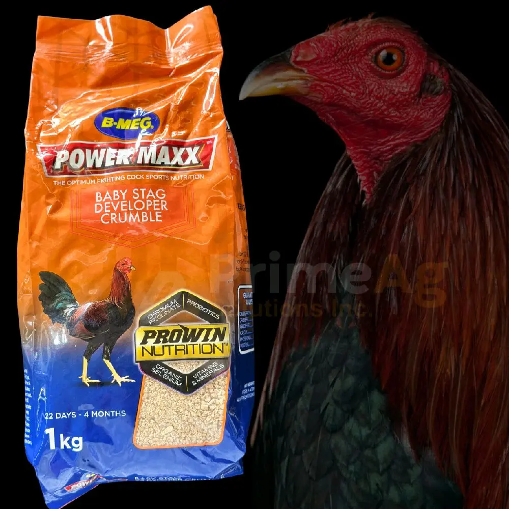 POWERMAXX BMEG STAG DEVELOPER - TikTok Shop Philippines