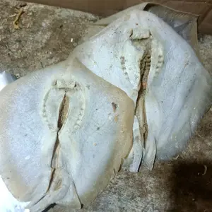 ikan asin pari laut/ikan pari