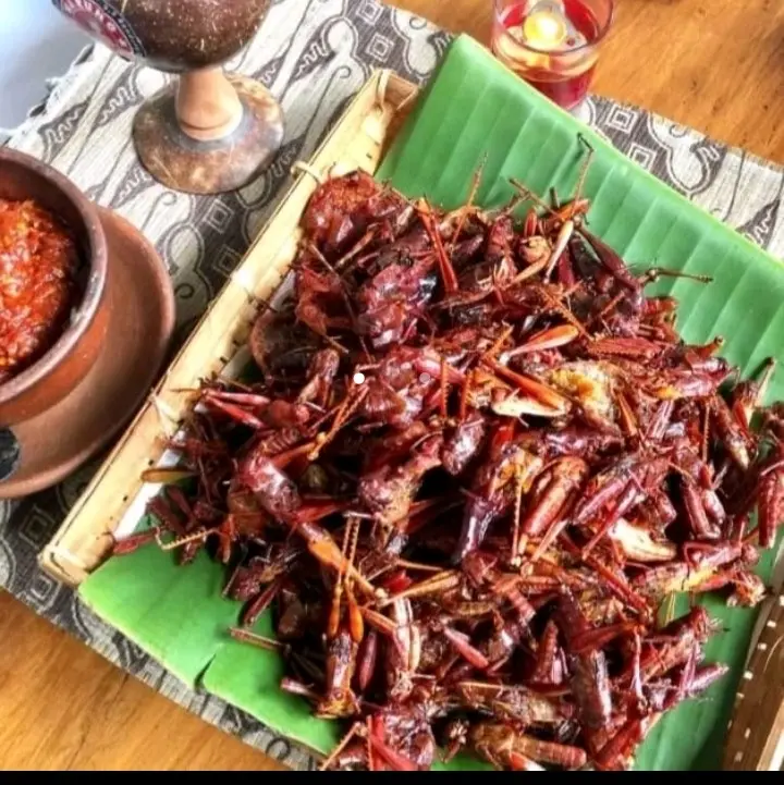 Belalang Goreng Walang Goreng Gunungkidul Pedas