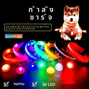 ปลอกคอเรืองแสงสำหรับสุนัข มีสามโหมดแสงกระพริบ เหมาะสำหรับเท็ดดี้/โกลเด้น รีทรีฟเวอร์ และบิชอน ปลอกคอเรืองแสงแฟลช ปลอกคอ  แมว  เรืองแสง  นิรภัย flexi  leash