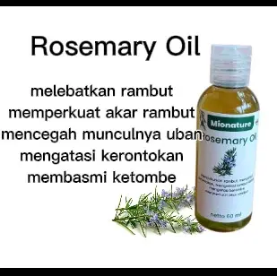 Rosemary Oil Untuk Mencegah muncul uban, Mengatasi rambut rontok, dan ketombe 60 ml                                          bahan terdiri dari rosemary,cengkeh, daun jambu biji, daun salam, minyak zaitun, minyak kemiri, minyak kelapa, minyak castrol