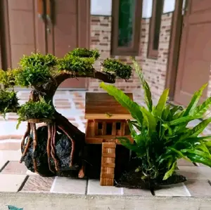 bonsai rumah miniatur mos wiping+kadaka  hiasan aquarium