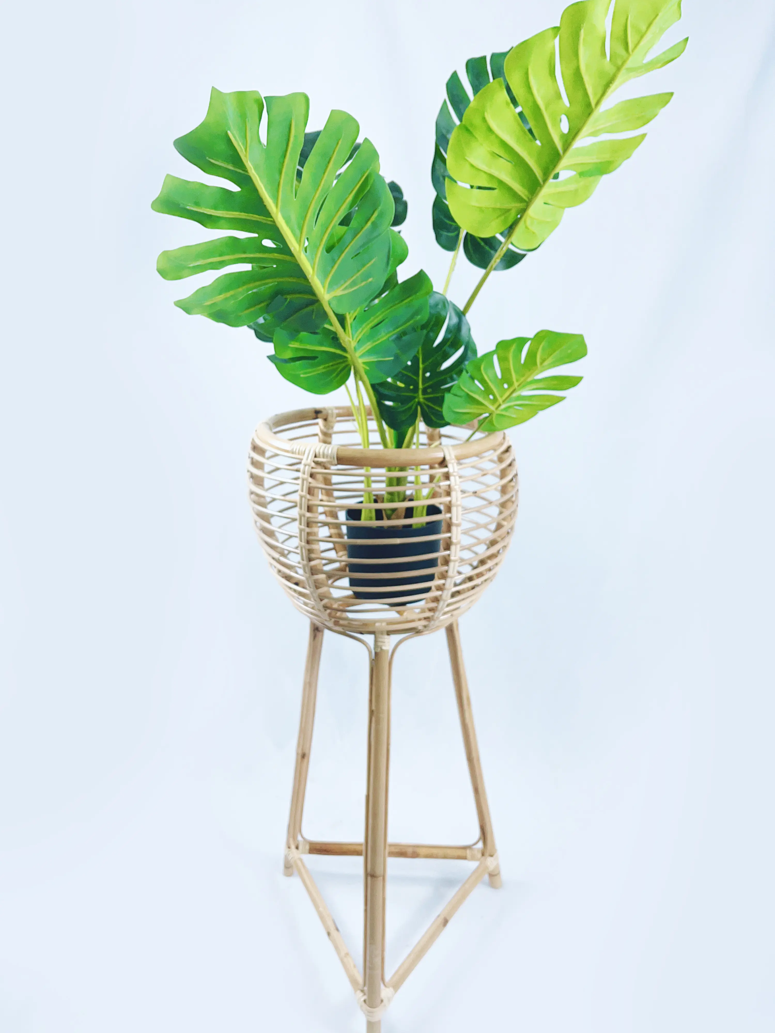 Rattan Plant Pot Stand (Mordern)