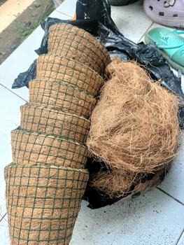 Product Review of Pot anggrek tempel dinding serabut kelapa Bunga Pvc from A**a B**e Q**n 0