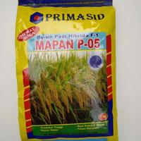 Gambar Benih Padi Hibrida F-1 Mapan P-05 PRIMASID 1kg dari PUROTANI.ID Kab. Purworejo 4 Tokopedia