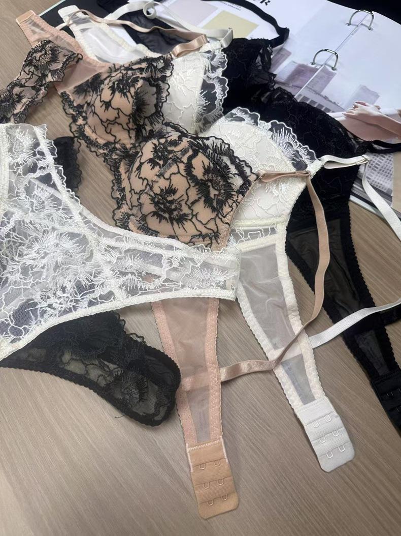 Product Introduction of Embroidery Lace Thin Cotton Underwear Transparent Lingerie Sets For Women Sexy Push Up Gather Fashion Lady Bra And Panty Sets 16