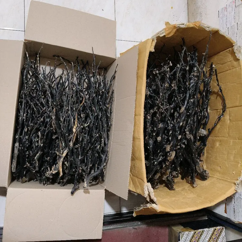 Bahan akar bahar hitam lentur kualitas super batang rata,padat dan berserat. 6