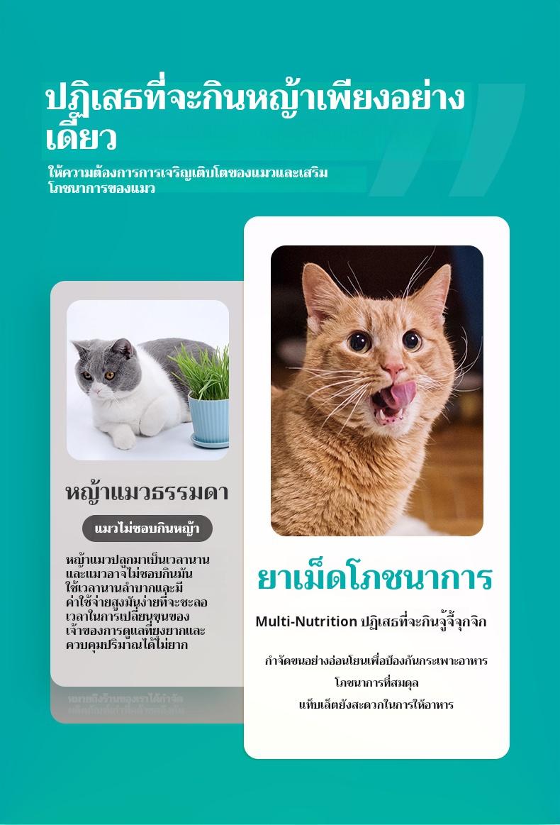 Product Introduction of PETHEALER  Hairball tablet catgrass tablet digest and spit hairball cat hair cream cat tablet Chinese animal nutrition vitamin 4