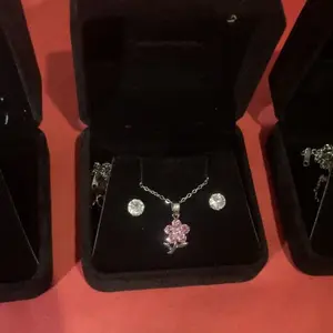 Mode Top Teratas - Set Kalung Dan Anting Titanium Silver Ruby Heart