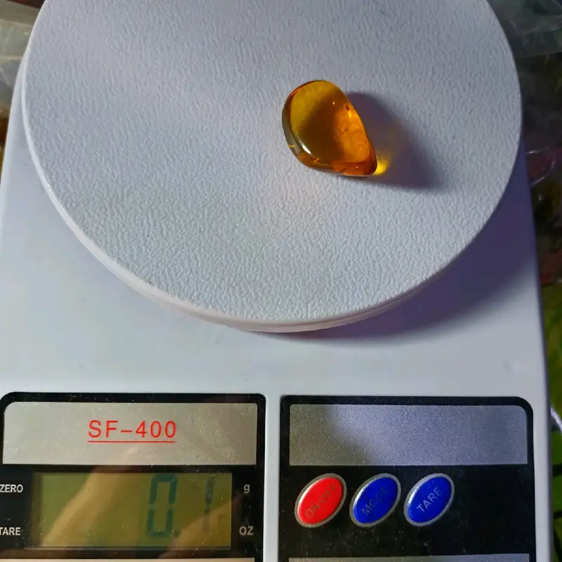 AMBER ISI SERANGGA PURBA ( AMBER INSECT) AMBER BURMITE KODE TT 4 8