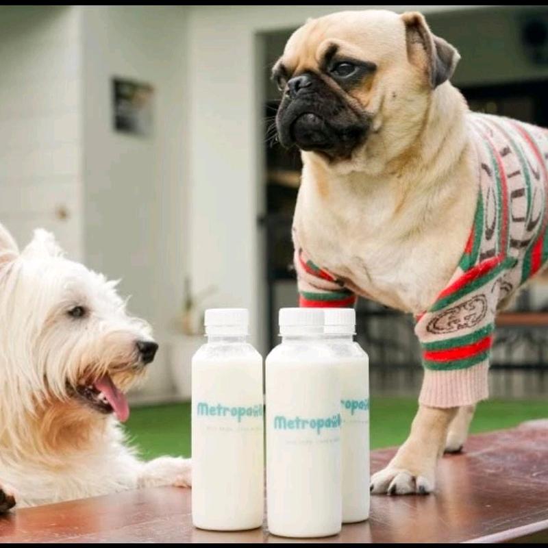 Susu doggy/goat milk 2