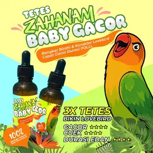 tetes ZAHANAM BABY GACOR POLLL