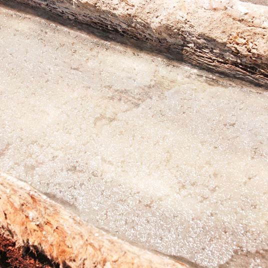 Furikake Rosella Bali "Yukari" Style (Raw & Vegan) - Hanya 2 Bahan: Bunga Rosella & Garam Kusamba / ikushima store 6