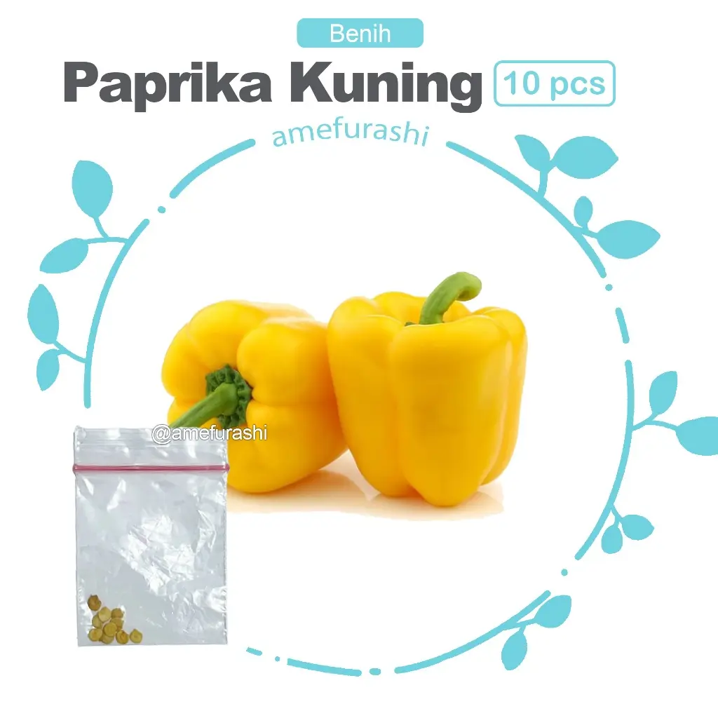 Paprika Kuning 10 Biji
