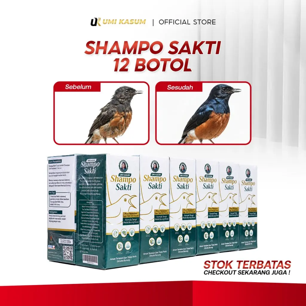 [KHUSUS LIVE] Shampo Sakti Burung 1 Lusin Umi Kasum Atasi Bulu Rusak Mabung Kutuan dan Kulit Bermasalah | SHS