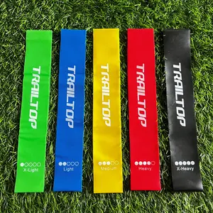 Resistance Band Alat Gym Fitnes Tali Fitnes Loop Band Harga Tersedia 1PCS dan 1Set
