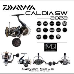 Moulinet Toupie Daiwa 22 CALDIA SW 10000-H - Neuf Sous Emballage - Fabriqué Au Japon