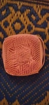 Product Review of [COD] SK C284 Spon Sikat Mandi Brush Silikon Portabel Peralatan Spons Mandi from D**💤 2