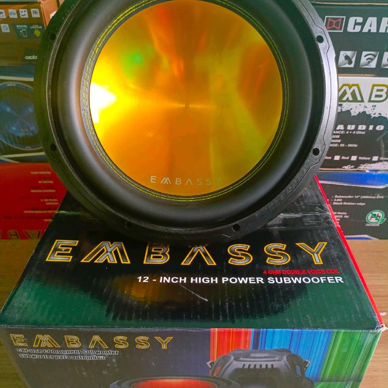 Subwoofer Embassy 12 inch EW-126 Double Coil Speaker 0