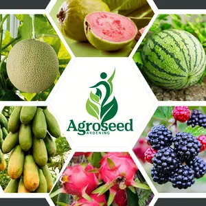 Benih Unggul Buah Buahan lengkap (Melon Madu, Semangka Manis, Pepaya California, Mentimun, Labu) Bibit Buah Terbaik Setiap Jenisnya