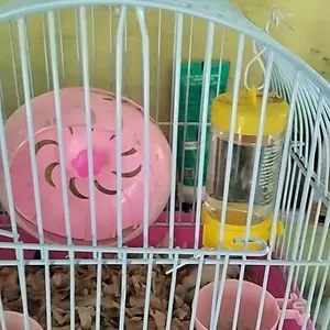 {TST} COD- Botol minum Hewan 80 ml tempat Minum Gantung Hamster dan Kelinci Tempat Minum otomatis Botol Hamster Marmut Landak Aksesoris Hewan Peliharaan