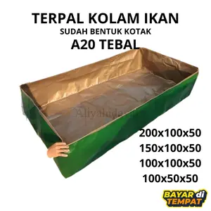 Kolam Terpal Ikan lele 200x100x50 tipe A20 Super Tebal Hijau emas Sudah Bentuk Kotak persegi panjang sedang (20-40 galon) UV