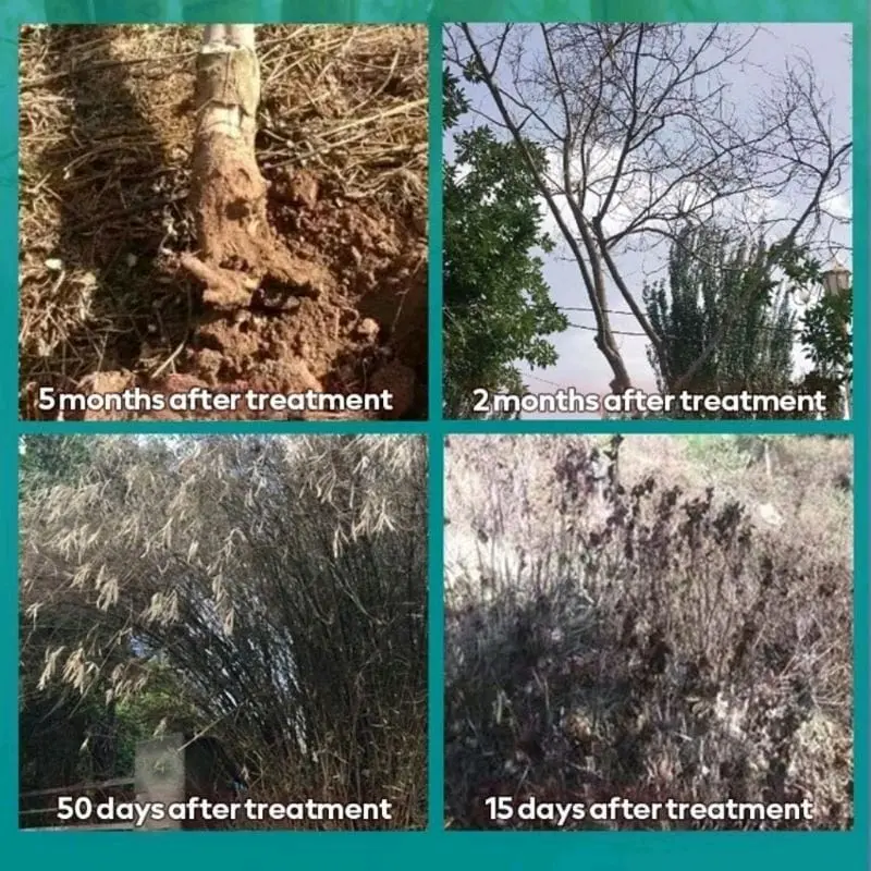 ( Beli 1 Gratis 1 ) KILL TREE Herbisida Biologis Pembasmi Rumput Terampuh - Herbisida Biologis Kill Tree Daun 4