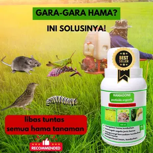 OBAT HAMA ULAT PADI SUNDEP BELUK 100 ML HAMAGONE - Obat Hama Padi, Atasi Hama Ulat Sundep, Wereng, Tanaman
