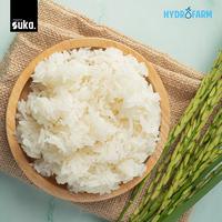 Gambar Suka Organic - Organic Menthik Milk Rice / Beras Organik Mentik Susu dari Hydrofarm Indonesia Kota Administrasi Jakarta Barat 3 Tokopedia