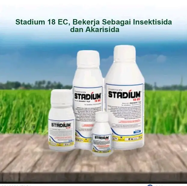 STADIUM 18 EC 1 liter adalah insektisida yang sangat efektif dalam mengendalikan Hama Klapper atau Kupu-Kupu Putih pada tanaman padi. Terbuat dari bahan aktif Abamektin 18 g/l yang memiliki sifat kimia IGR atau insect growth regulator (IGR)