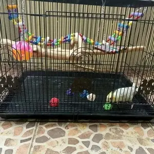 Sepaket Tangkringan Kayu Kopi dan Aneka Mainan Untuk Burung Small Parrot