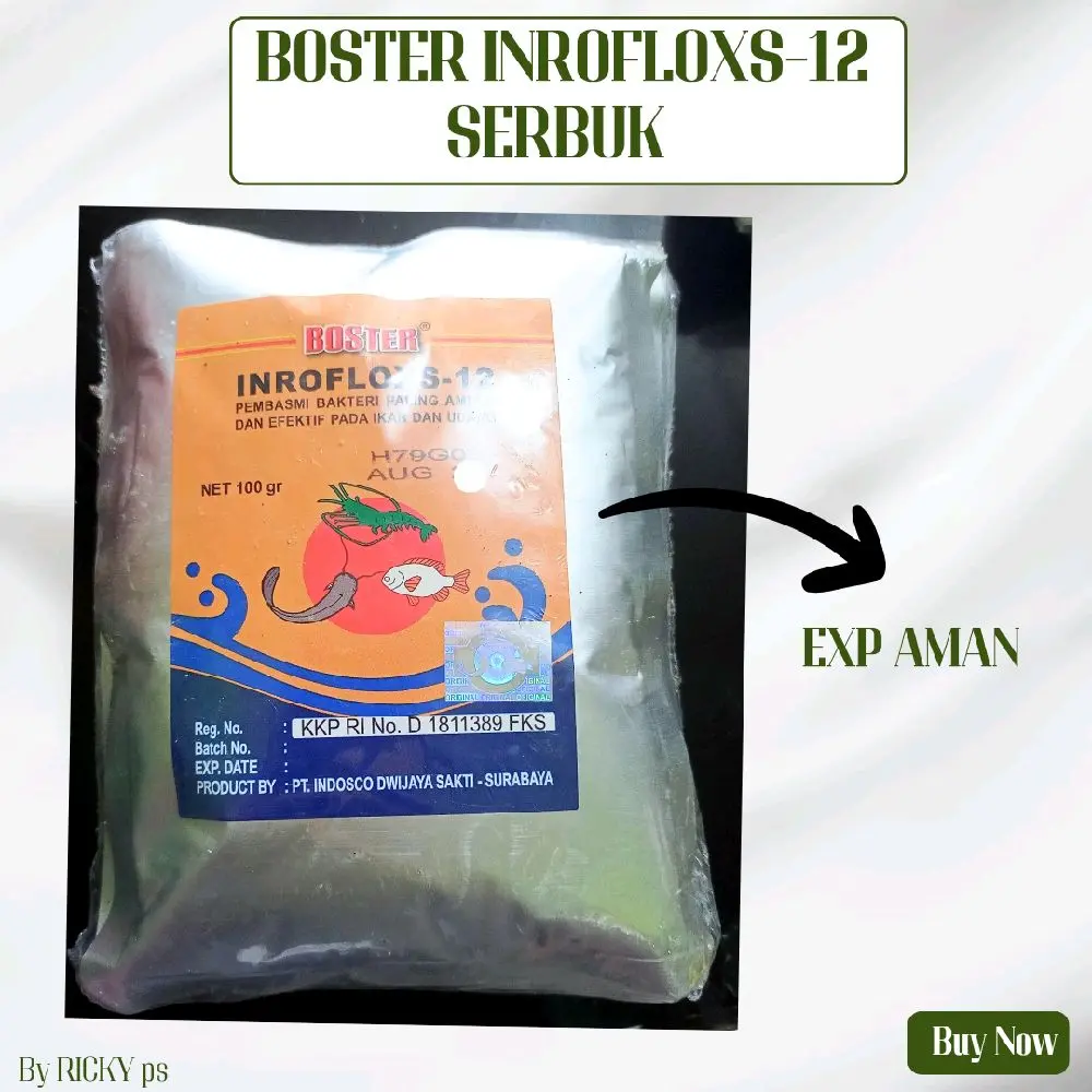 BOSTER INROFLOXS-12 SERBUK UNTUK PENGOBATAN IKAN SEPERTI tubuh berdarah, perut besar, borok busuk, ikan sering muncul dipermukaan, lendir mencair, sisik mengelupas, sirip rusak, ekor busuk, nafsu makan turun, insang merah, meningkatkan kekebalan