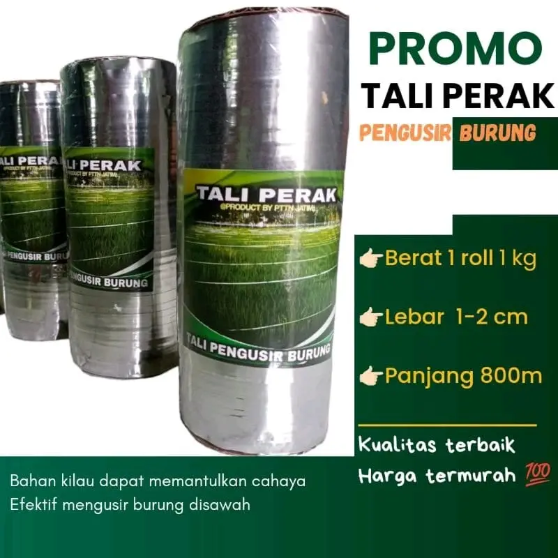 Tali Perak Tali Sawah Pengusir Burung Pipit panjang -+800 meter